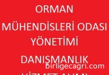 OMO Mevcut Yönetimi İhaleleri Sabote Ediyor