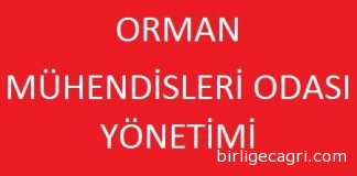 OMO Mevcut Yönetimi İhaleleri Sabote Ediyor