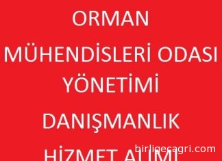 OMO Mevcut Yönetimi İhaleleri Sabote Ediyor