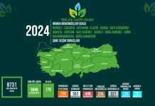 Yeşile Boyamaya Devam Ediyoruz