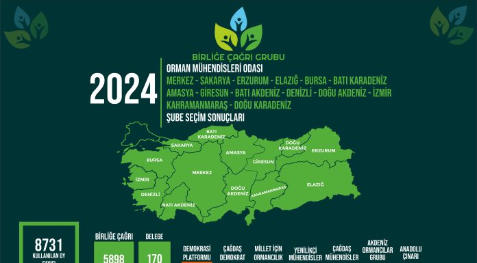 Yeşile Boyamaya Devam Ediyoruz